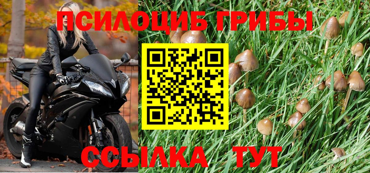 Псилоцибиновые грибы Magic Shrooms  Галлюциногенные грибы MAGIC MUSHROOMS  Михайловка  Вход с VPN 
